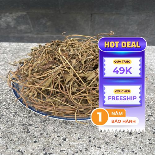 Sài đất khô đóng gói sẵn sàng bảo quản
